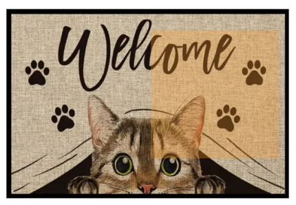 Cartoon Crystal Velvet Floor Mat Home