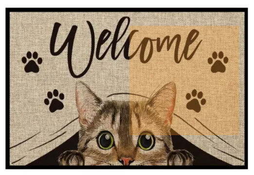 Cartoon Crystal Velvet Floor Mat Home